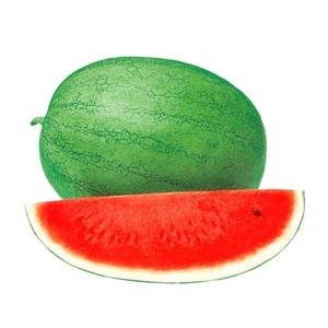 西瓜-貝爾460,農友種苗股份有限公司