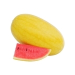 西瓜-黛安娜-農友種苗股份有限公司