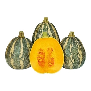 南瓜-仙女,農友種苗股份有限公司