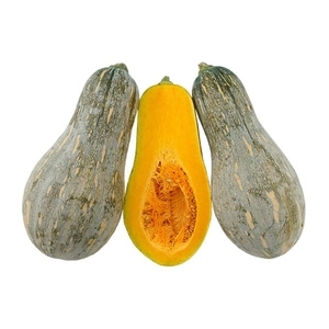 南瓜-孔雀,農友種苗股份有限公司