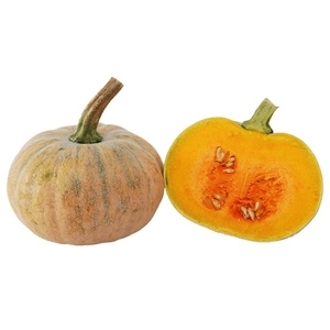 南瓜-三庫,農友種苗股份有限公司