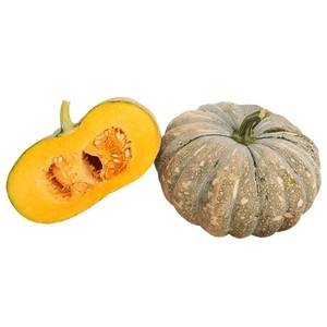 南瓜-頂點,農友種苗股份有限公司