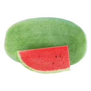 西瓜-帝國2號,農友種苗股份有限公司