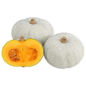 南瓜-稀有度,農友種苗股份有限公司