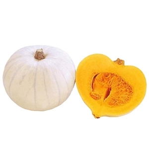 南瓜-歌詞,農友種苗股份有限公司