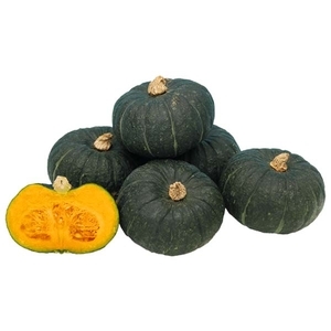 南瓜-黑燈,農友種苗股份有限公司