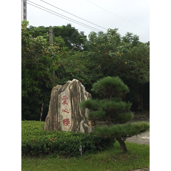 造園工程－新竹捐血中心愛心樓,桂林園藝