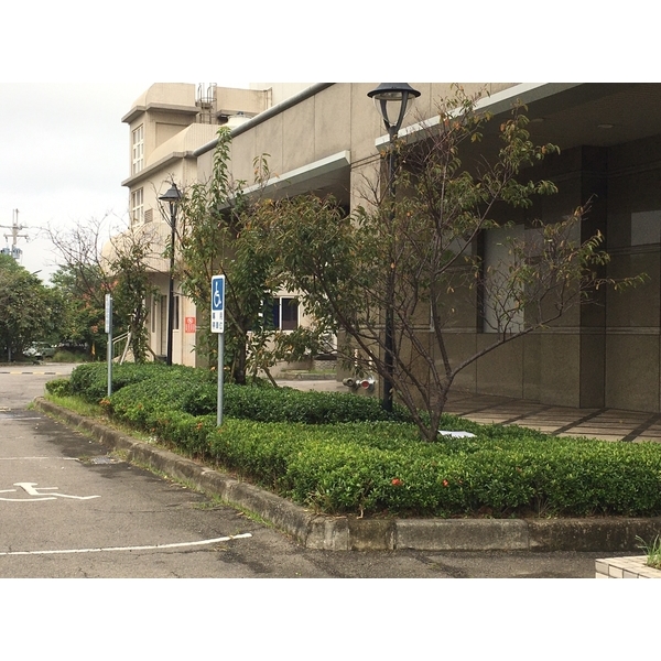造園工程－新竹捐血中心愛心樓-桂林園藝