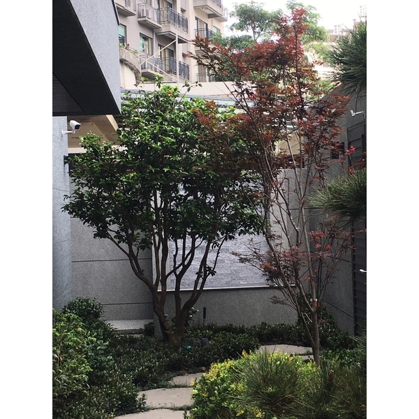 樹香門第庭園-桂林園藝