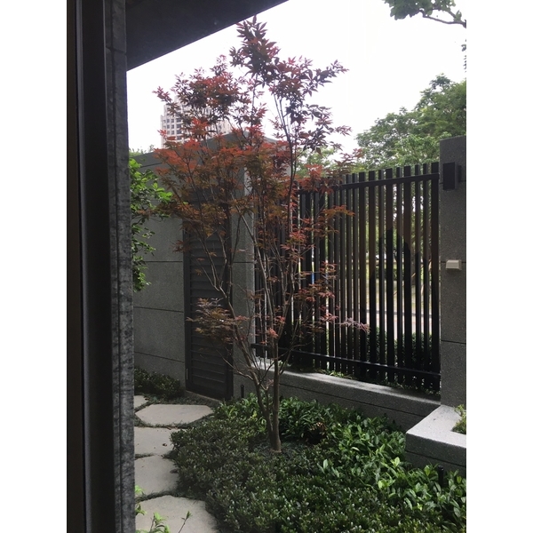 樹香門第庭園-桂林園藝