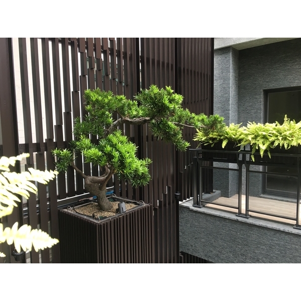 樹香門第庭園,桂林園藝