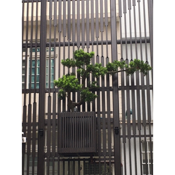 樹香門第庭園-桂林園藝