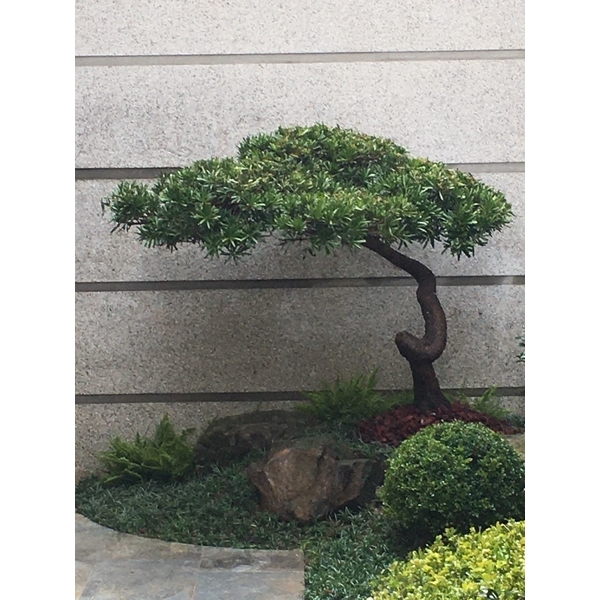 住宅庭園-桂林園藝