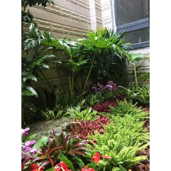 住宅庭園-桂林園藝