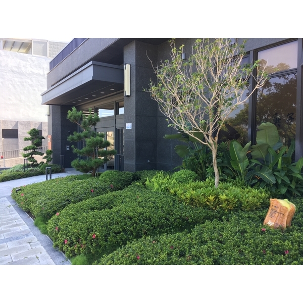 庭園規劃設計－竹科主人五期庭園-桂林園藝