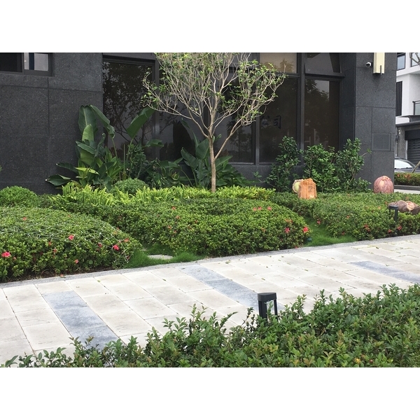 庭園規劃設計－竹科主人五期庭園-桂林園藝