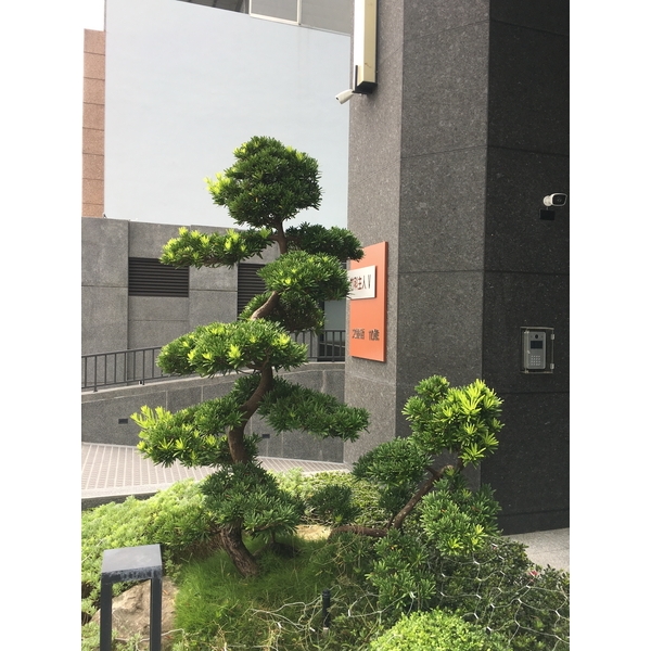 庭園規劃設計－竹科主人五期庭園-桂林園藝