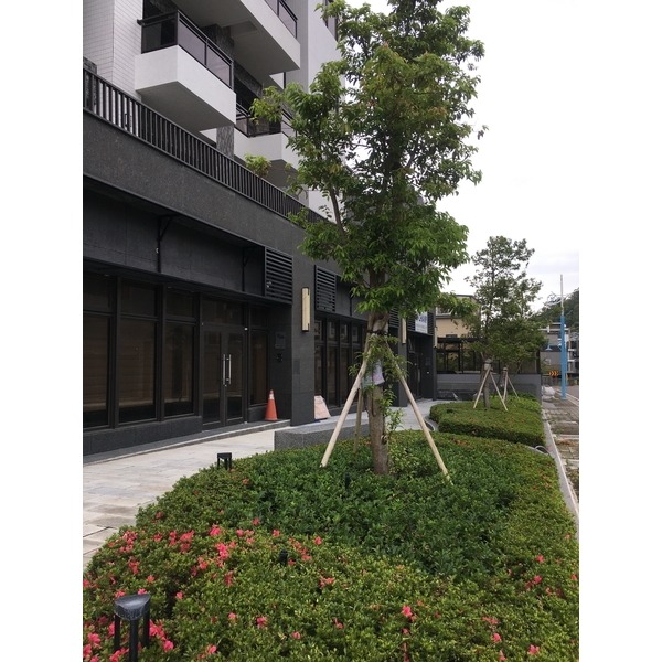 庭園規劃設計－竹科主人五期庭園-桂林園藝