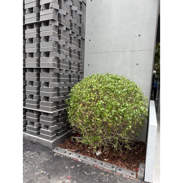 鋐之丘詮力實業接待中心庭園