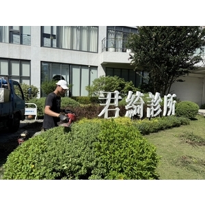 新竹園藝工程實績｜竹北君綺診所庭園養護工程