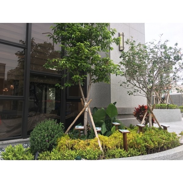 園藝造景,桂林園藝