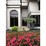 花草植栽 - 桂林園藝