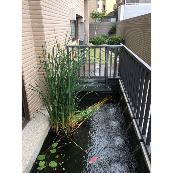 景觀水池,桂林園藝