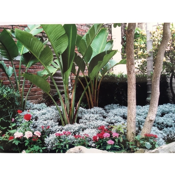 園藝設計,桂林園藝