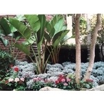 園藝設計-桂林園藝