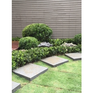 園藝造景