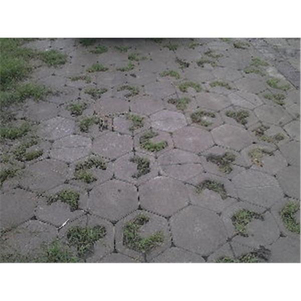 拼花植草磚,晨陽綠建環保資材