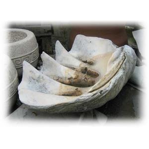 花缽-深海大貝殼 , 景新藝園石材行