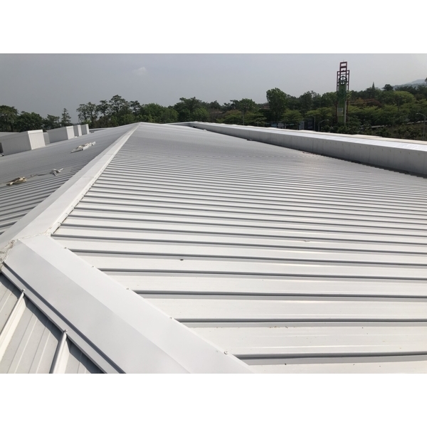 康妮,慶灃工程有限公司