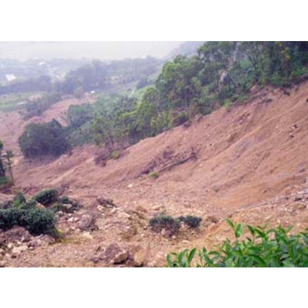 擋土護坡系列-防蝕土岩釘-甲盟實業有限公司