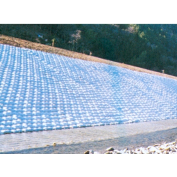 織袋-織物模板布膜