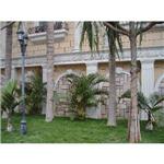 造型框.飾板.羅馬柱.線板 - 騰煇企業有限公司