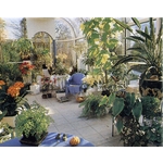 盆栽出租 , 永欣園藝中心