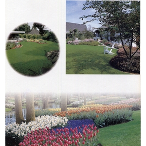 庭園造景 , 永欣園藝中心