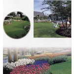 庭園造景 , 永欣園藝中心