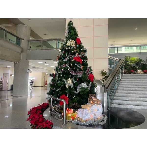 造景,永欣園藝中心