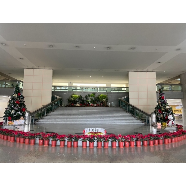 造景,永欣園藝中心