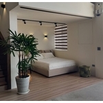 造景 - 永欣園藝中心