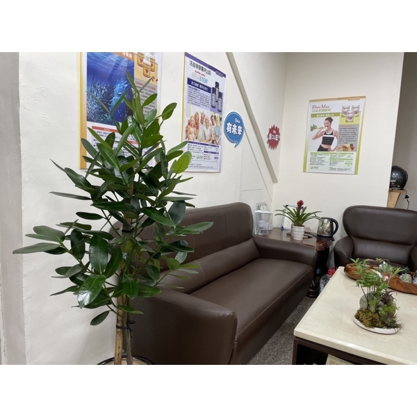 造景,永欣園藝中心