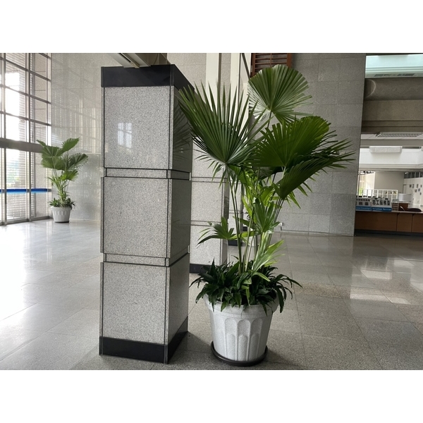 造景,永欣園藝中心