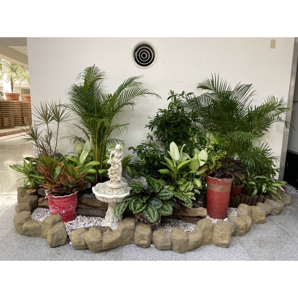 造景,永欣園藝中心