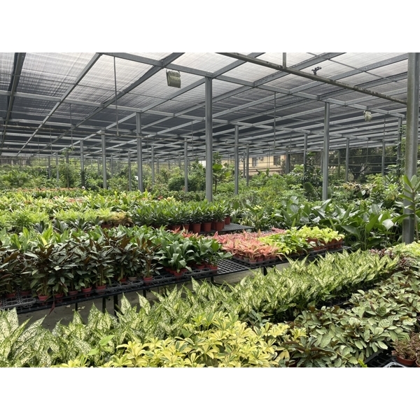 造景-永欣園藝中心