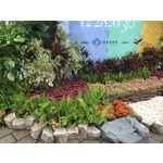 造景 - 永欣園藝中心