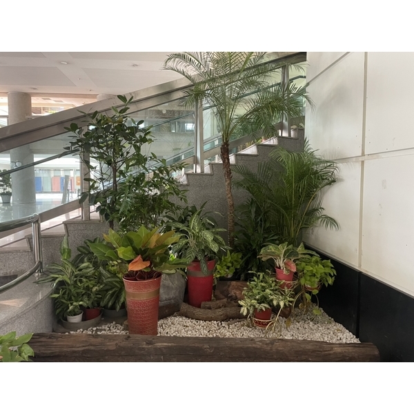 造景-永欣園藝中心