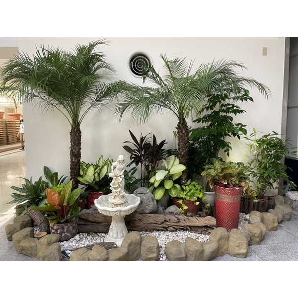 造景,永欣園藝中心