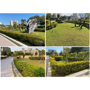 園藝造景